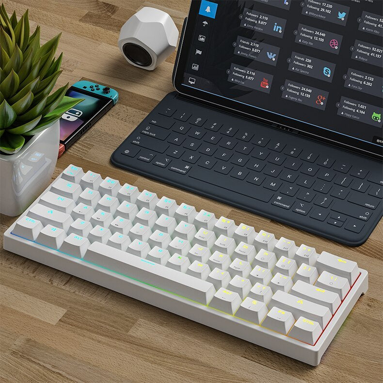 61 key pluggable mechanical keyboard rgb light effect computer keyboard